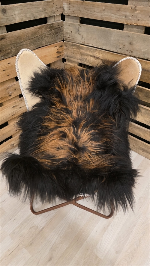 Lammeskind islandsk flame