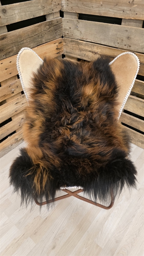 Lammeskind islandsk flame