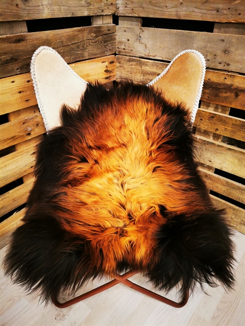 Lammeskind Islandsk Flame