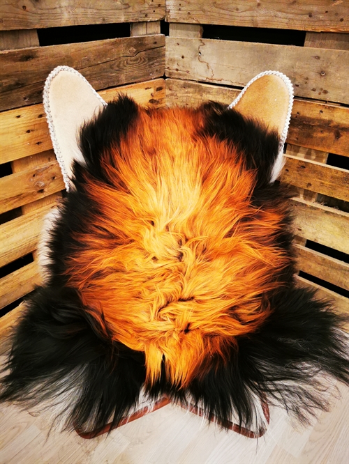 Lammeskind Islandsk Flame