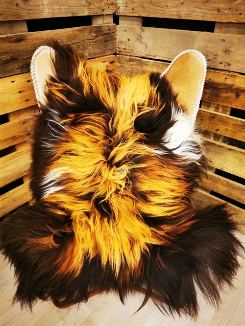 Lammeskind Islandsk Flame