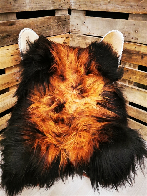 Lammeskind Islandsk Flame