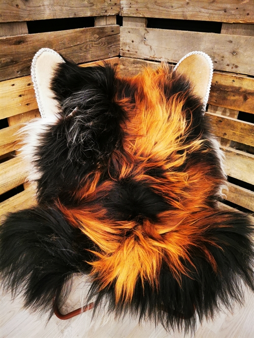 Lammeskind Islandsk Flame