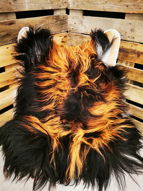 Lammeskind Islandsk Flame