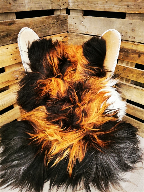 Lammeskind Islandsk Flame