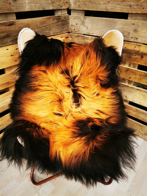 Lammeskind Islandsk Flame