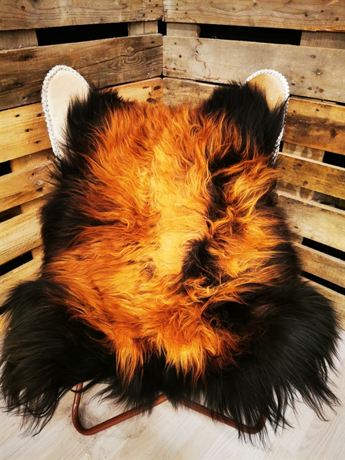 Lammeskind Islandsk Flame