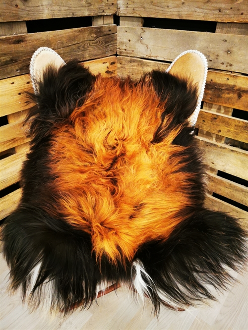 Lammeskind Islandsk Flame