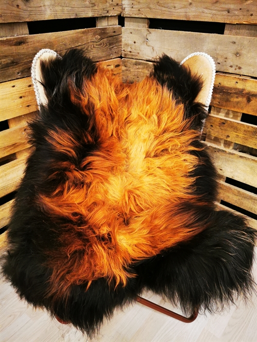 Lammeskind Islandsk Flame