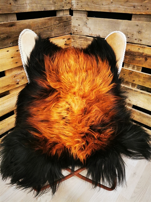 Lammeskind Islandsk Flame