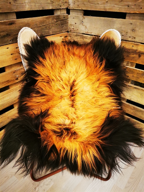 Lammeskind Islandsk Flame