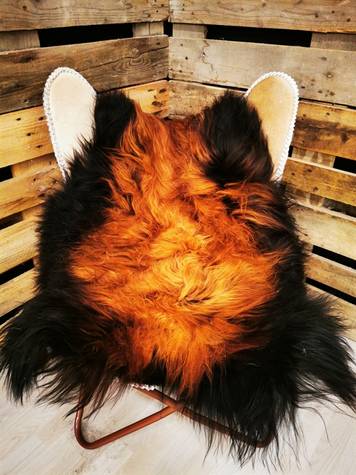 Lammeskind Islandsk Flame