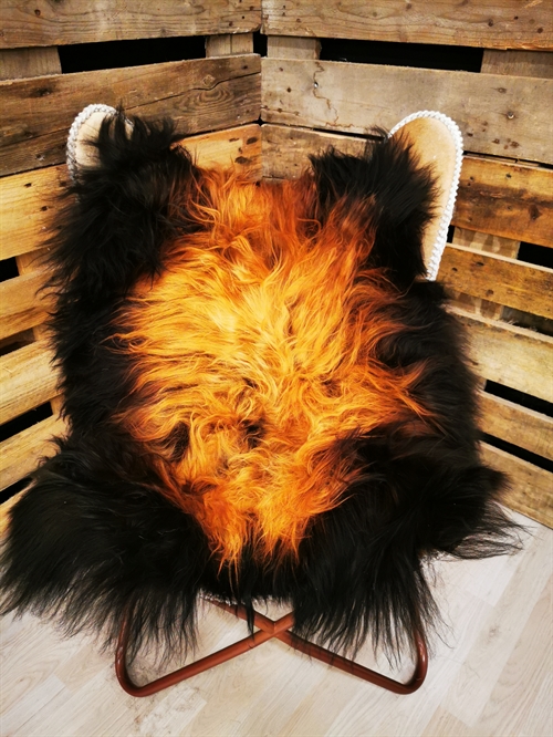 Lammeskind Islandsk Flame