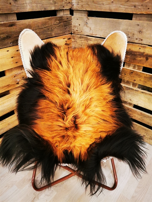 Lammeskind Islandsk Flame