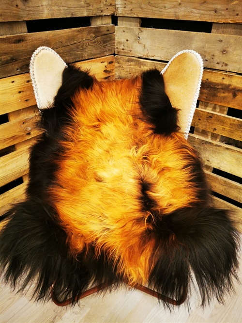 Lammeskind Islandsk Flame