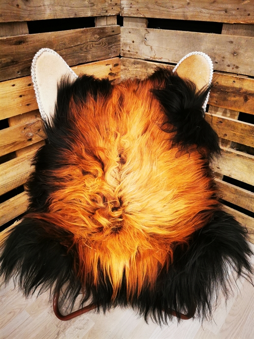 Lammeskind Islandsk Flame