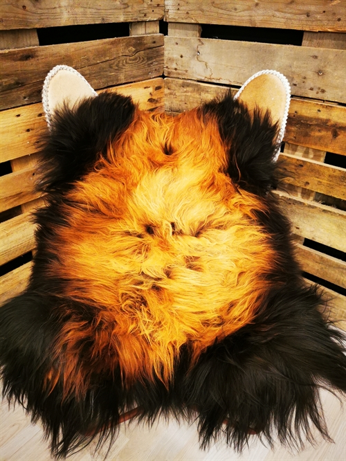 Lammeskind Islandsk Flame