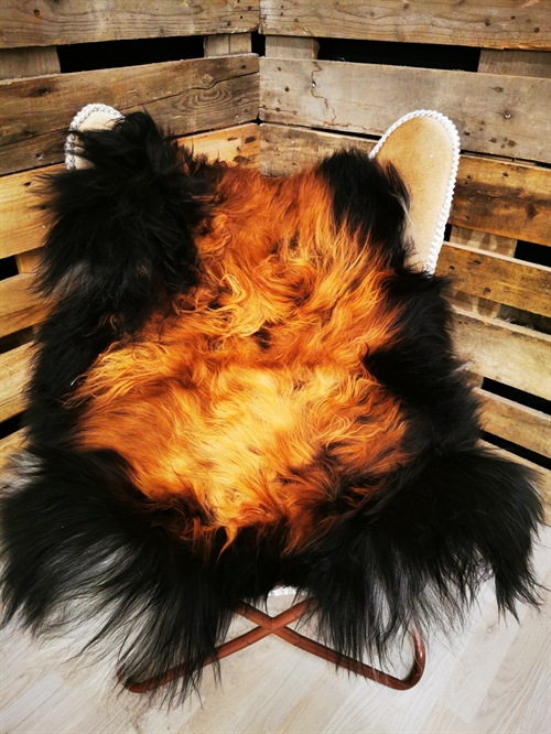 Lammeskind Islandsk Flame