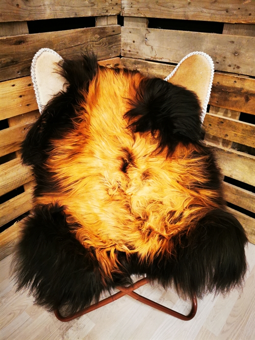 Lammeskind Islandsk Flame