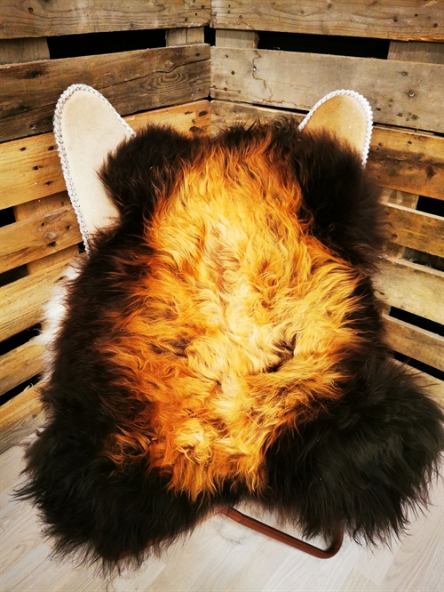 Lammeskind Islandsk Flame