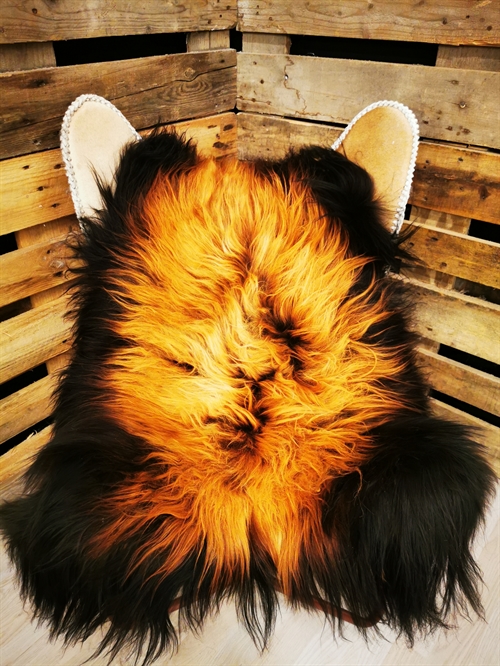 Lammeskind Islandsk Flame