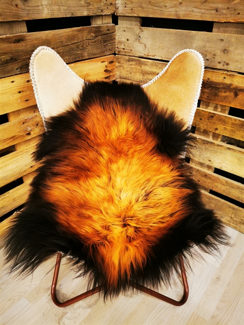 Lammeskind Islandsk Flame