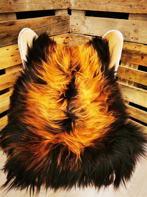 Lammeskind Islandsk Flame