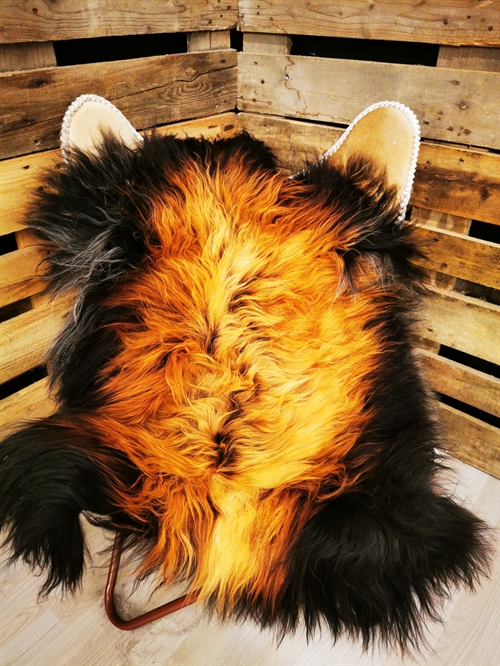 Lammeskind Islandsk Flame