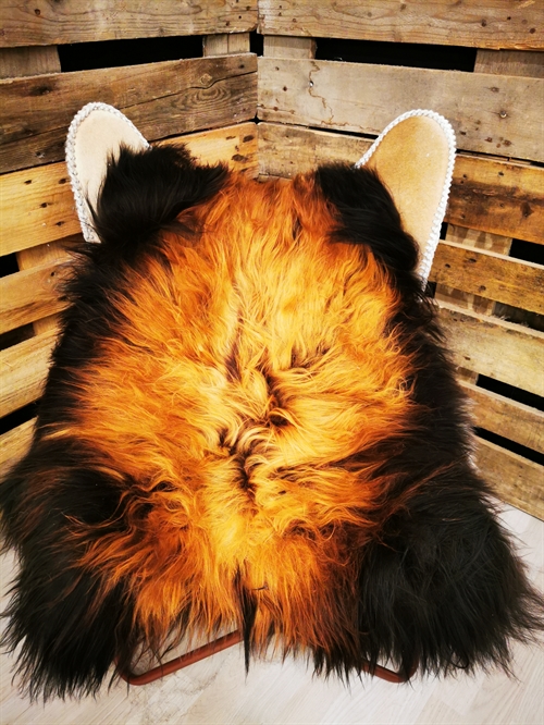 Lammeskind Islandsk Flame