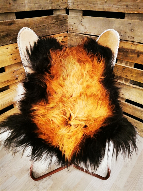 Lammeskind Islandsk Flame