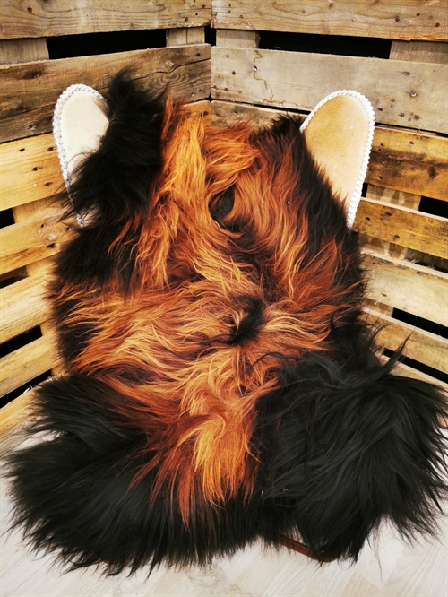 Lammeskind Islandsk Flame