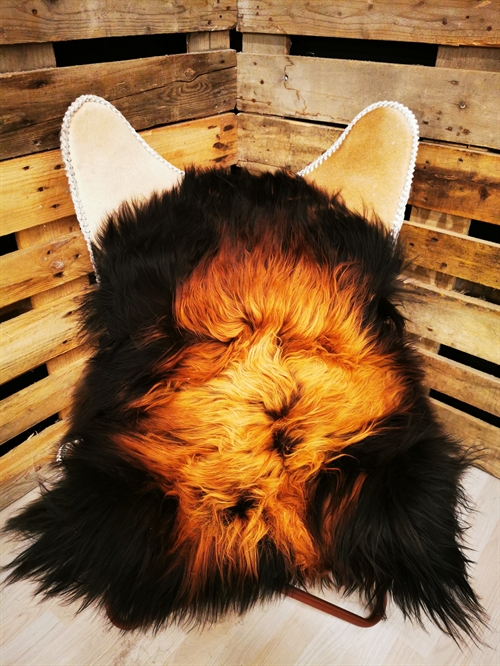 Lammeskind Islandsk Flame