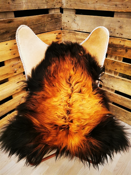 Lammeskind Islandsk Flame