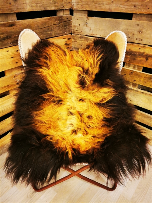 Lammeskind Islandsk Flame