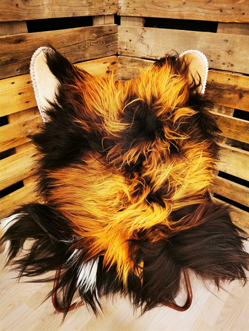 Lammeskind Islandsk Flame