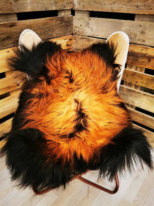 Lammeskind Islandsk Flame