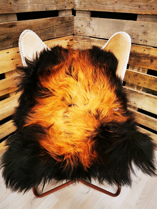 Lammeskind Islandsk Flame