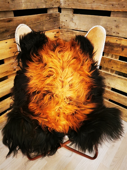 Lammeskind Islandsk Flame