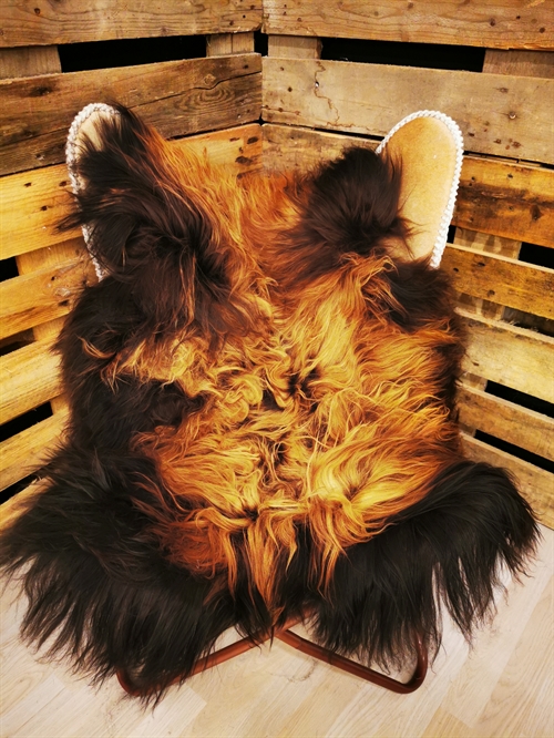 Lammeskind Islandsk Flame