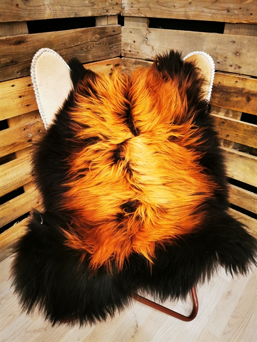 Lammeskind Islandsk Flame