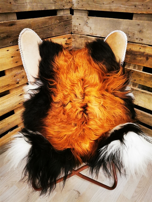 Lammeskind Islandsk Flame