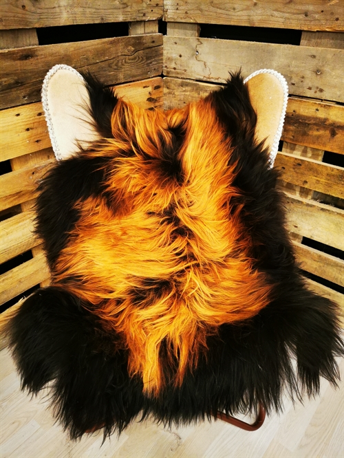 Lammeskind Islandsk Flame