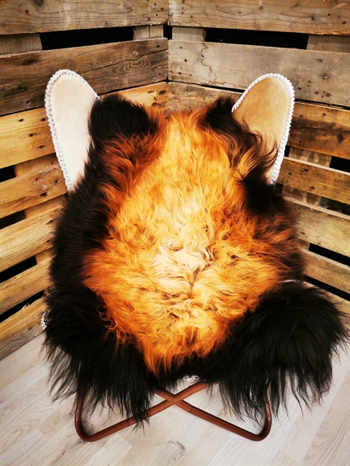 Lammeskind Islandsk Flame