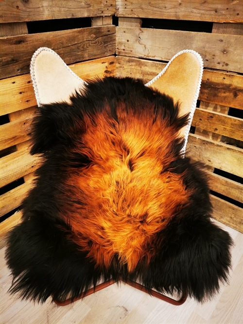 Lammeskind Islandsk Flame