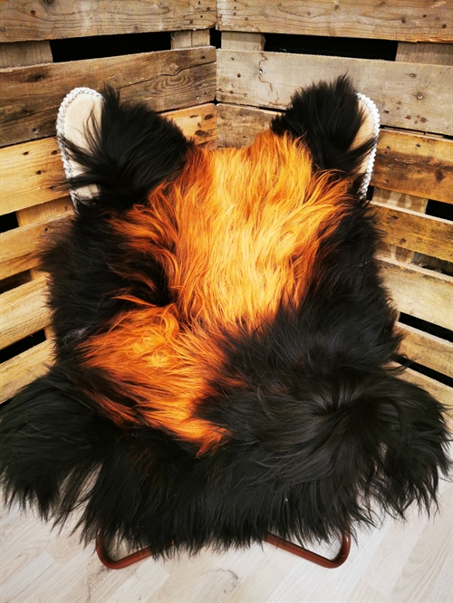 Lammeskind Islandsk Flame