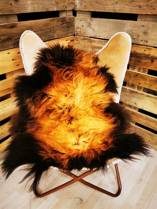 Lammeskind Islandsk Flame