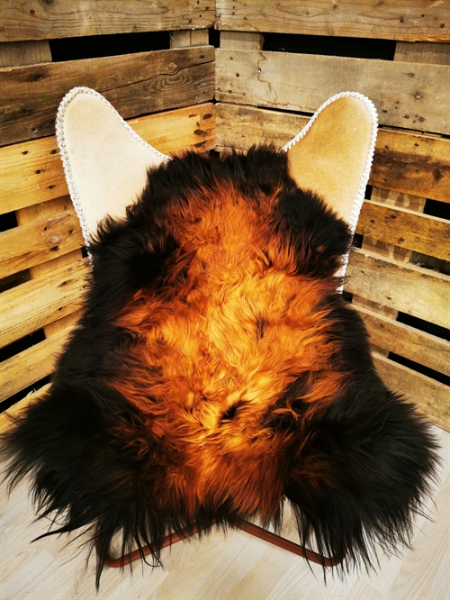 Lammeskind Islandsk Flame