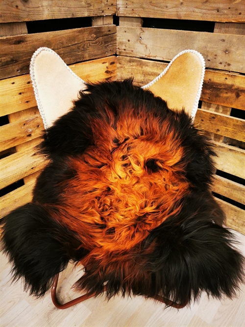 Lammeskind Islandsk Flame