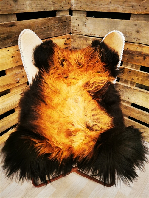 Lammeskind Islandsk Flame