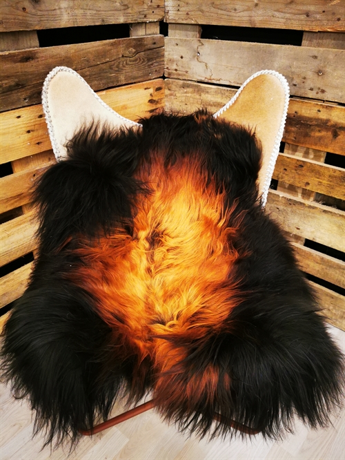 Lammeskind Islandsk Flame